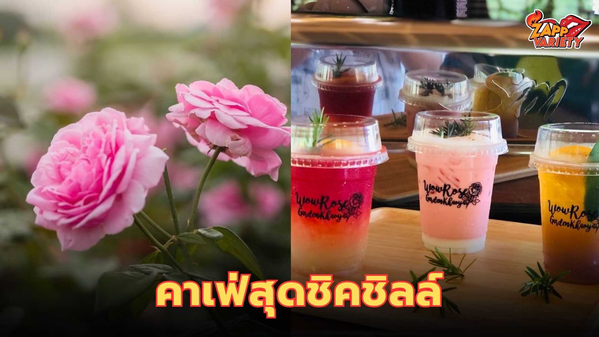 อลังการสวนกุหลาบ ที่สุดแห่งความชิคชิลล์ ที่เขาใหญ่ ต้องรีบมา Wowrose Garden Khaoyai